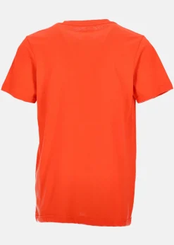 CHECKONIT B TEES BYJ0