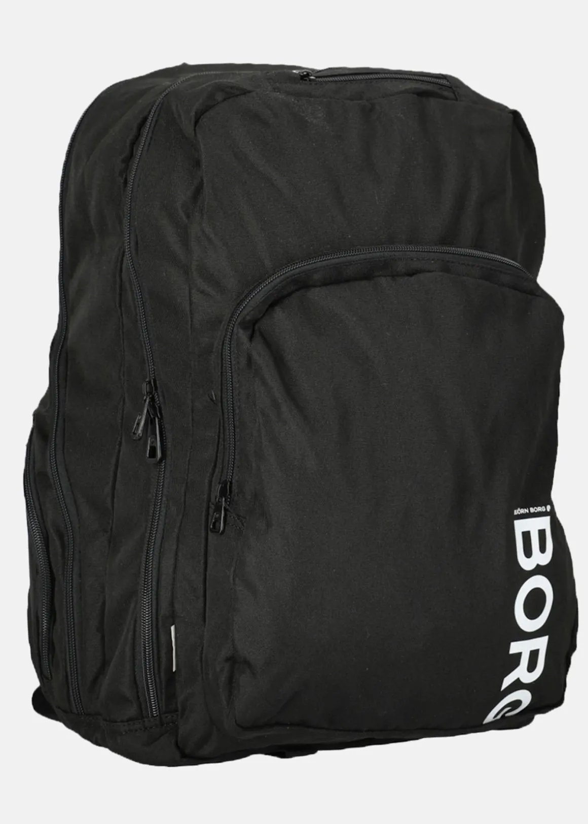 CORE CURVE BACKPACK