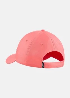 ESS METAL PUMA CAT BB Cap Jr