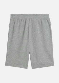 ESS No. 1 Logo Shorts 10
