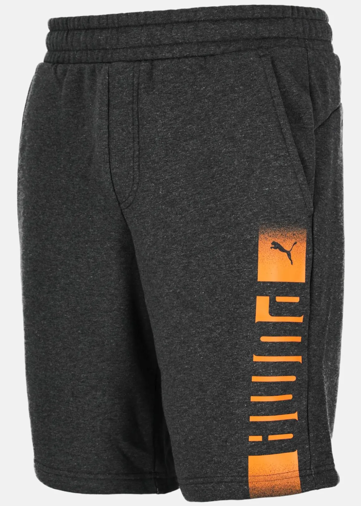 ESS Rebel Shorts 10" FL