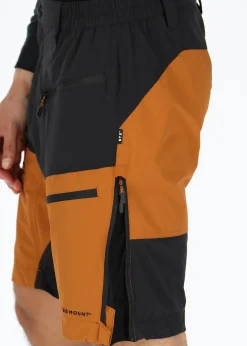 Lofoten Stretch Shorts