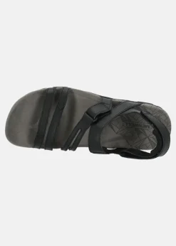 SANDSPUR ROSE CONVERT